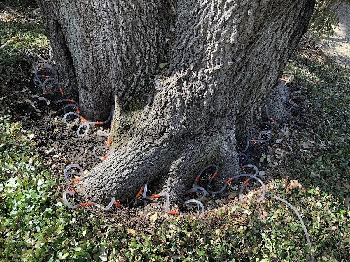 Detailed Shrub and Hedge Trimming job site in Lone Wolf