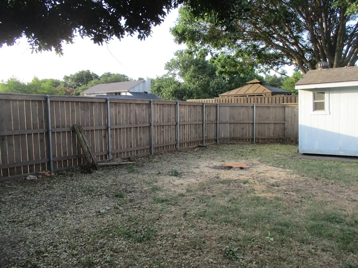 Cleared yard after professional tree removal in Lone Wolf